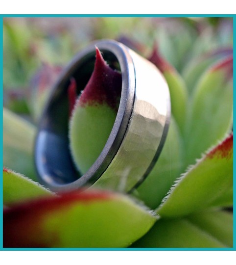 Ring aus Tantal mit einer Einlage aus Silber